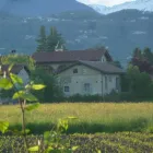 Immagine 4 azienda LOCATION CASCINA MARIE Viaggi e turismo in Bricherasio TO