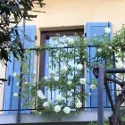Immagine 6 azienda LOCATION CASCINA MARIE Viaggi e turismo in Bricherasio TO