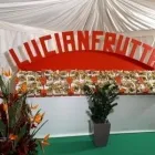 Immagine 2 azienda LU.SI. GROUP Shopping e acquisti in San Ferdinando Di Puglia BT