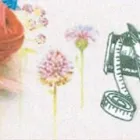 Immagine 1 azienda LUANA MERCERIE Shopping e acquisti in Modena