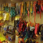 Immagine 5 azienda LUCIZOO 1953 Shopping e acquisti in Fossacesia CH