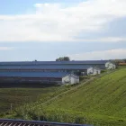 Immagine 6 azienda LUCIZOO 1953 Shopping e acquisti in Fossacesia CH