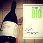 Immagine 6 azienda LUVIT & LUMOÈ Shopping e acquisti in Borso Del Grappa TV