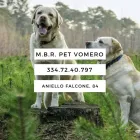 Immagine 4 azienda M.B.R. PET VOMERO Industrie e agricoltura in Napoli