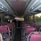 Immagine 3 azienda M VIAGGI S.R.L. Veicoli in Scandiano RE