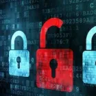 Immagine 8 azienda M3 COMPUTER DI VOLTA MASSIMO Shopping e acquisti in Ferrara