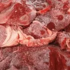 Immagine 1 azienda MACELLERIA AGNOLETTO Macelleria in Bologna