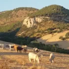 Immagine 1 azienda MACELLERIA FATTORIA CIANE Pizzeria in Siracusa