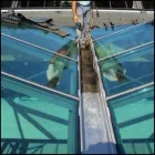 Immagine 5 azienda MAGNANI ASFALTI Realizzazione di coperture e tetti in Rimini