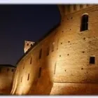 Immagine 1 azienda MANFREDINI ONORANZE C.S.F. Servizi professionali in Formigine MO