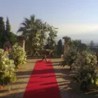 Immagine 2 azienda MANTINEO FIORI Shopping e acquisti in Messina