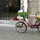 Immagine 3 azienda MANTINEO FIORI Shopping e acquisti in Messina