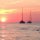 Immagine 3 azienda MAORI LAND Viaggi e turismo in Montemurlo