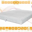 Immagine 85 azienda MARCAPIUMA MATERASSI Shopping e acquisti in Venegazzù TV