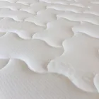 Immagine 98 azienda MARCAPIUMA MATERASSI Shopping e acquisti in Venegazzù TV