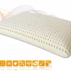 Immagine 148 azienda MARCAPIUMA MATERASSI Shopping e acquisti in Venegazzù TV