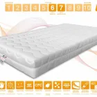 Immagine 24 azienda MARCAPIUMA MATERASSI Shopping e acquisti in Venegazzù TV