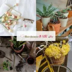 Immagine 3 azienda MARCHESANE IN FIORE Shopping e acquisti in Bassano Del Grappa VI