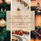 Immagine 4 azienda MARCHESANE IN FIORE Shopping e acquisti in Bassano Del Grappa VI