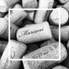 Immagine 1 azienda MARCONI VITICOLTORI IN ARICCIA Servizi agricoli in Ariccia RM