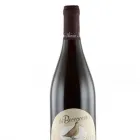 Immagine 6 azienda MARCONI VITICOLTORI IN ARICCIA Servizi agricoli in Ariccia RM