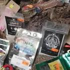 Immagine 1 azienda MARIJFARM Vivaio in Fiumicino RM