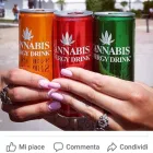 Immagine 5 azienda MARIJFARM Vivaio in Fiumicino RM