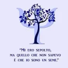 Immagine 1 azienda MARVENTANO DOTT.SSA PSICOLOGA GABRIELLA Salute in San Giovanni La Punta CT