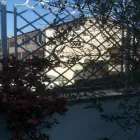 Immagine 7 azienda MASINA FRANCO Shopping e acquisti in Ferrara