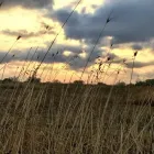 Immagine 5 azienda MASSERIA DOGANIERI Viaggi e turismo in Galatone LE