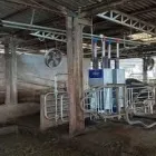 Immagine 7 azienda MASTRODOMENICO AGRICOLTURA Shopping e acquisti in Pontinia LT