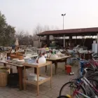 Immagine 1 azienda MATTARANETTA SOC. COOP. Veicoli in Verona