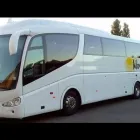 Immagine 2 azienda MAVIBUS Veicoli in Bologna