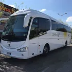 Immagine 4 azienda MAVIBUS Veicoli in Bologna