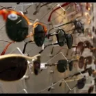 Immagine 6 azienda MAZZUCCHELLI MARIO & C. Strumenti e attrezzature scientifiche in Milano