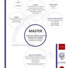 Immagine 1 azienda MCQS CONSULTING S.R.L. Servizi professionali in Palermo