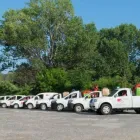 Immagine 1 azienda MD DISINFESTAZIONI Industrie e agricoltura in Agnano NA