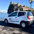 Immagine 4 azienda MD DISINFESTAZIONI Industrie e agricoltura in Agnano NA