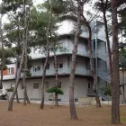 Immagine 3 azienda MEDIASAN Servizi professionali in Bari