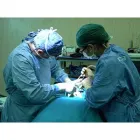 Immagine 1 azienda MEDICO CHIURGO SPECIALISTA IN ODONTOSTOMATOLOGIA DOTT. MARINO MICCINI Salute in Montesilvano PE