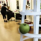 Immagine 8 azienda MELA VERDE TRICOLOGIA E PARRUCCHE Shopping e acquisti in Pescara