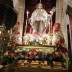 Immagine 6 azienda MERCATO DEL FIORE - PIANTE E FIORI Vivaio in Palermo