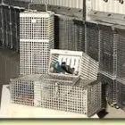 Immagine 5 azienda METALMECCANICA FRANCHINI CARLO Shopping e acquisti in Castelnuovo Rangone MO