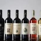 Immagine 5 azienda MGS FORNITURE PER HOTEL E RISTORANTI Shopping e acquisti in Torino