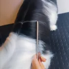 Immagine 2 azienda MI FIDO PET Shopping e acquisti in Vicenza