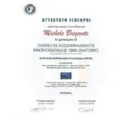 Immagine 2 azienda MIB INVESTIGAZIONI Servizi professionali in Varese