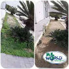 Immagine 1 azienda MIL WORLD GLOBAL SERVICE Servizi professionali in Palermo