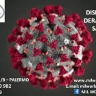 Immagine 4 azienda MIL WORLD GLOBAL SERVICE Servizi professionali in Palermo