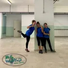 Immagine 5 azienda MIL WORLD GLOBAL SERVICE Servizi professionali in Palermo