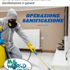 Immagine 8 azienda MIL WORLD GLOBAL SERVICE Servizi professionali in Palermo